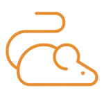 Orangefarbener Linienumriss einer Maus, abstrakt als Icon gestaltet, mit geschwungener Schwanzlinie, auf schwarzem Hintergrund platziert – geeignet für UI-Design und digitale Oberflächen.