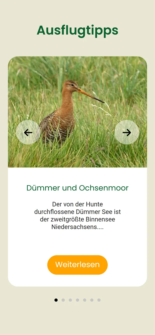 Website von Bultmann Dienstleistungen auf dem Smartphone: Karussell „Ausflugtipps“ mit einer Karte zum Dümmer, Foto einer Uferschnepfe, Pfeil-Buttons und Punkt-Navigation.