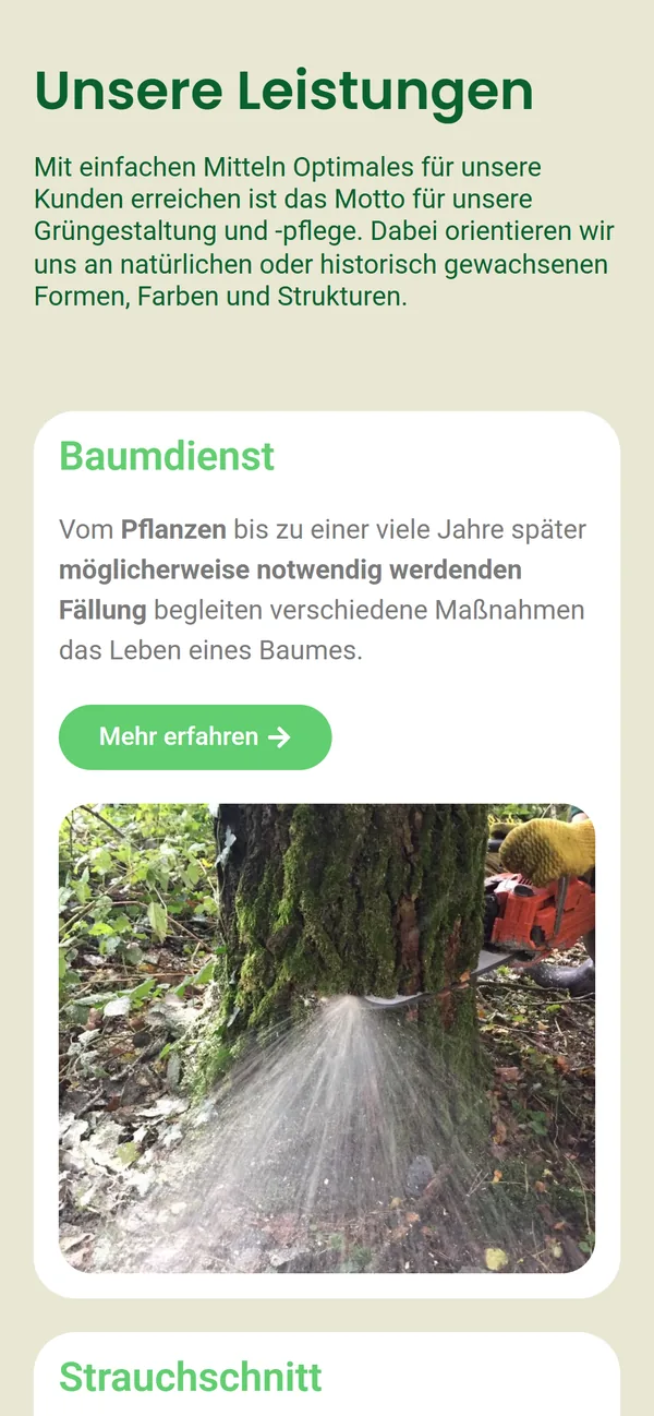 Website von Bultmann Dienstleistungen auf dem Smartphone: Abschnitt „Unsere Leistungen“ mit der Karte Baumdienst, grünem Button „Mehr erfahren“ und Foto einer Baumfällung.